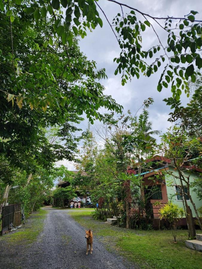 Suankafae Resort สวนกาแฟรีสอร์ท Surat Thani Exterior foto
