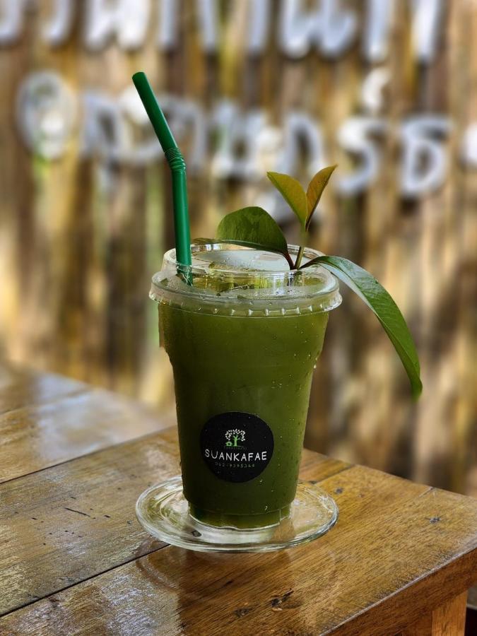 Suankafae Resort สวนกาแฟรีสอร์ท Surat Thani Exterior foto